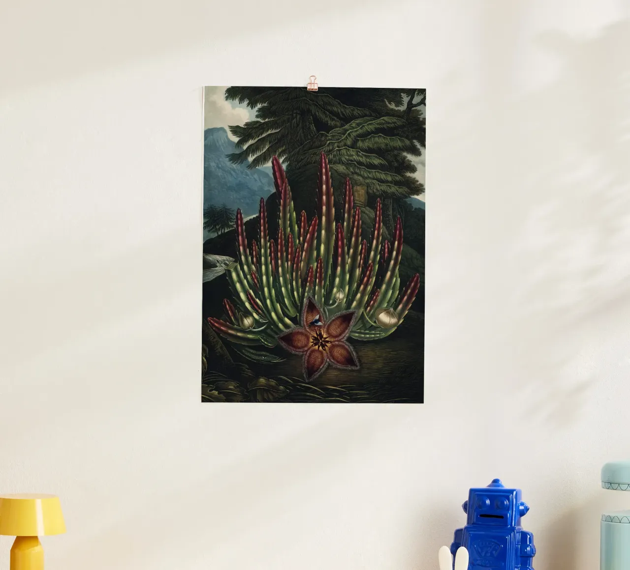 Vintage Thornton 2 Maggot Stapelia poster con telaio in alluminio da Vintage Print Collection