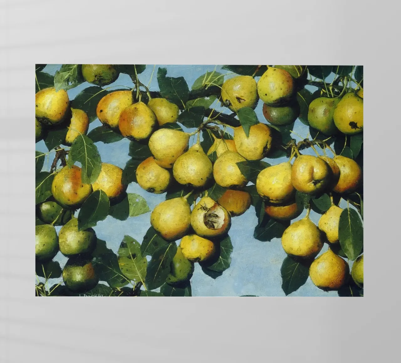 Pere Decker con vespe - Pittura realistica di un albero da frutta pellicola backlit da ClubArt