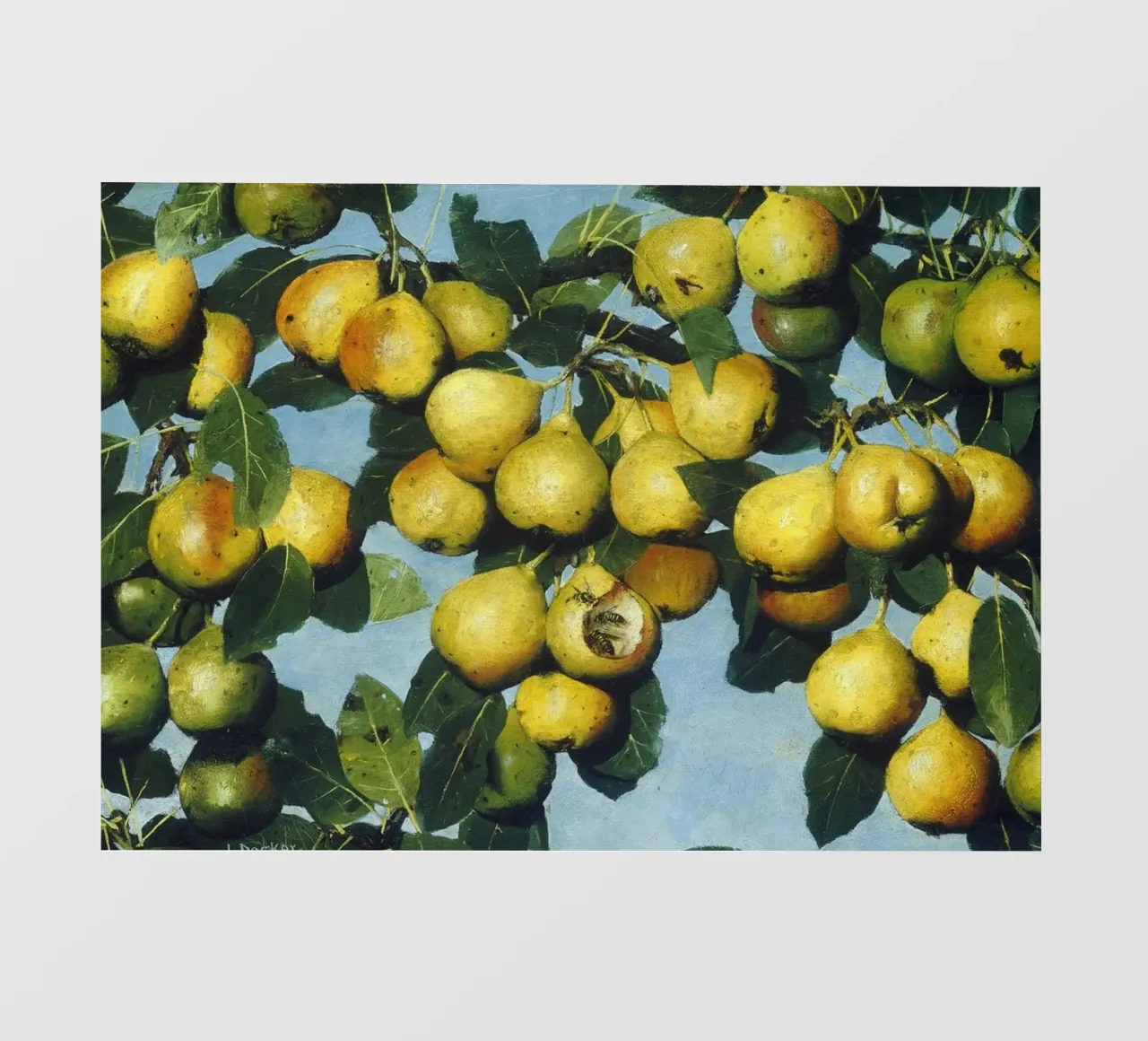 Pere Decker con vespe - Pittura realistica di un albero da frutta pellicola backlit da ClubArt