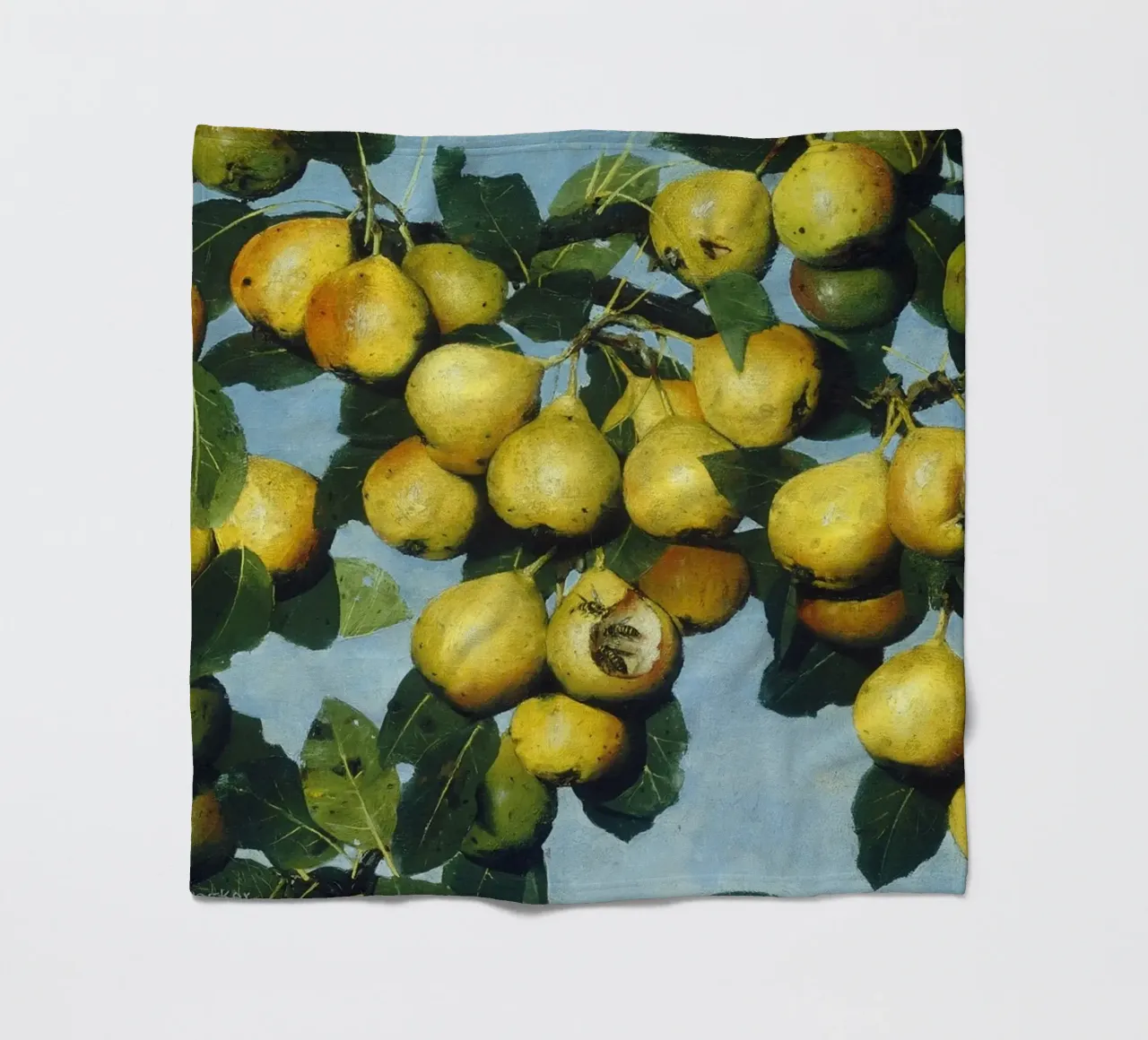 Pere Decker con vespe - Pittura realistica di un albero da frutta coperta in pile da ClubArt