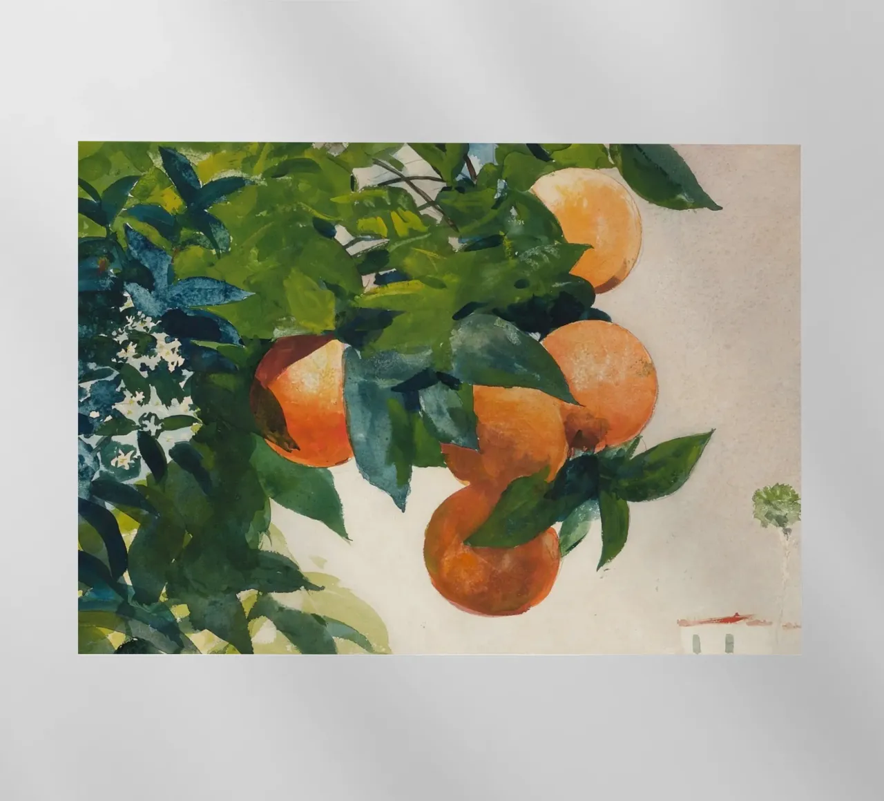 Acquerello sull'albero di arance - Frutta e fogliame impressionista pellicola backlit da ClubArt