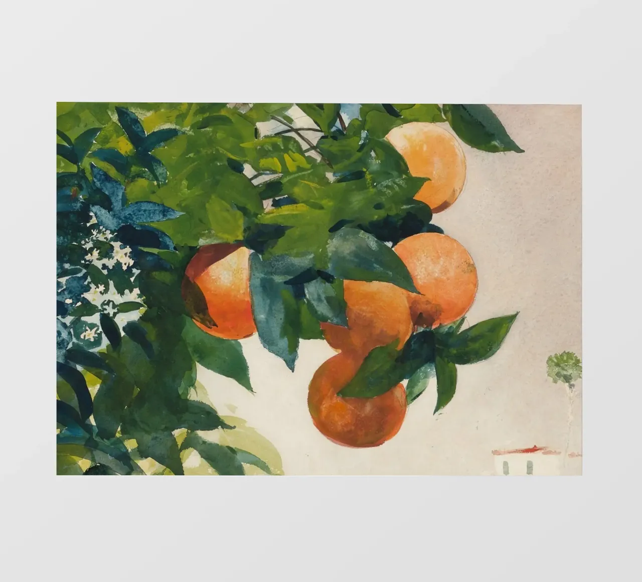 Orange Tree Watercolor - Impressionist Fruit & Foliage photo wallpaper by ClubArt