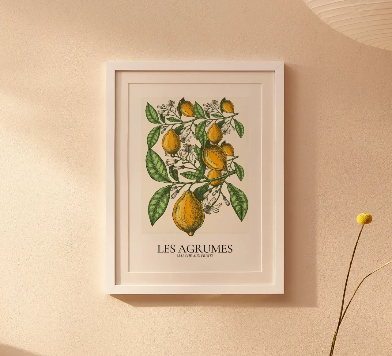 Les Agrumes - Poster botanico dettagliato sui limoni poster con telaio in plastica da ClubArt