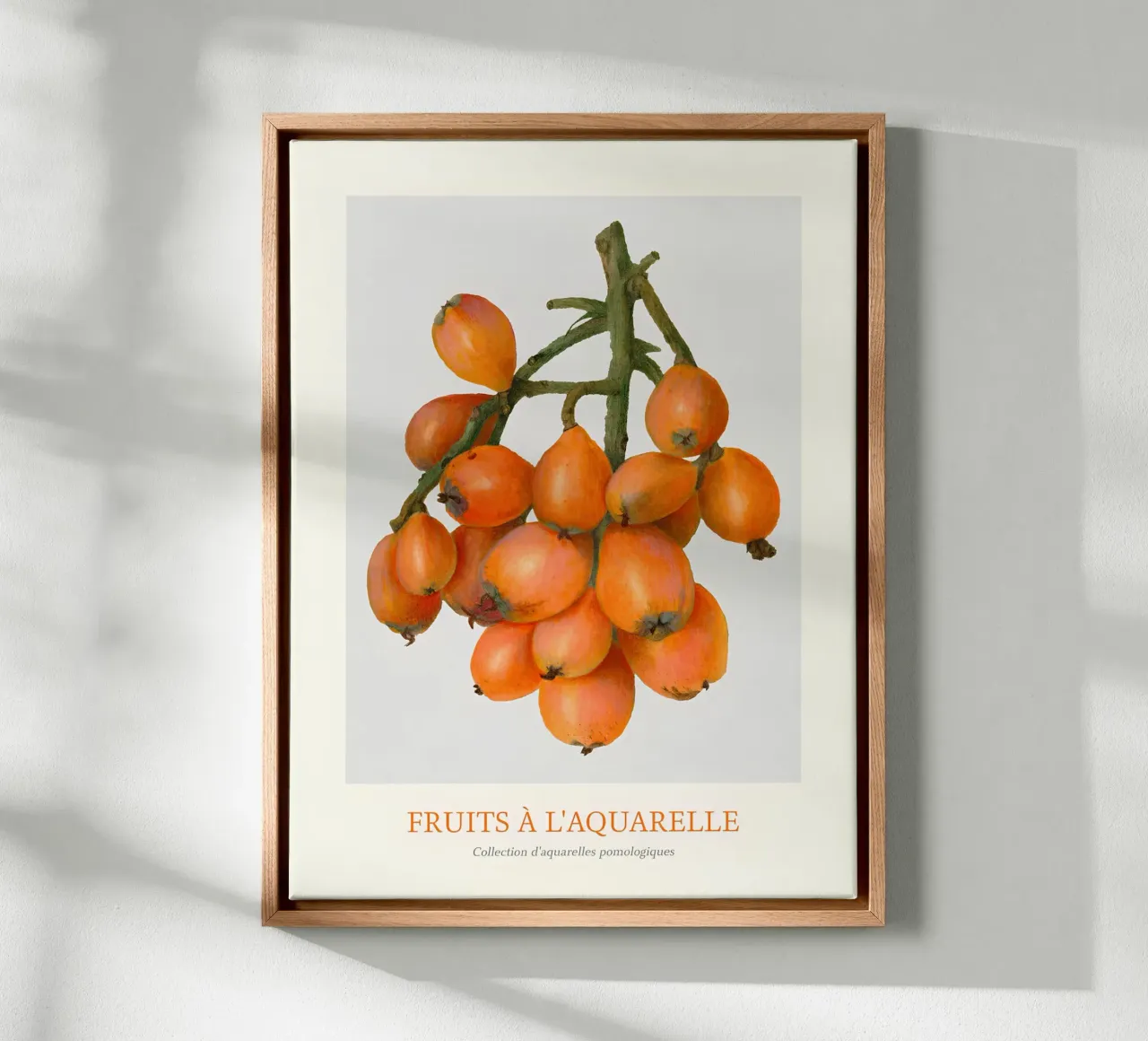 Aquarel Fruits - Loquat Cluster Botanical Print canvas met Baklijst van ClubArt