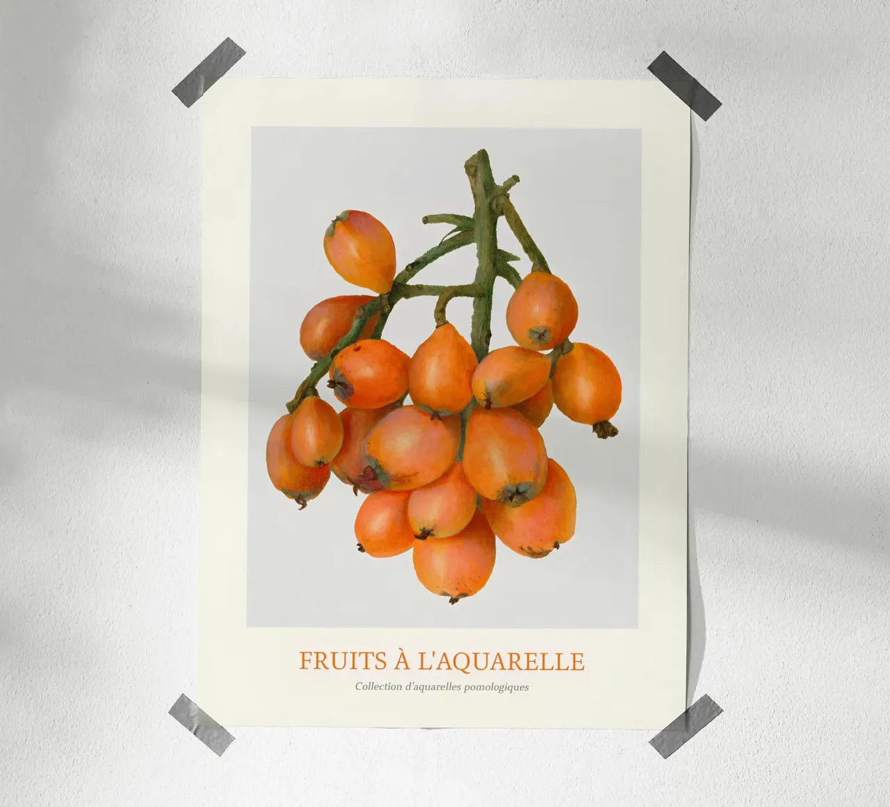 Aquarelle Fruits - Stampa botanica a grappolo di nespole poster con telaio in legno da ClubArt