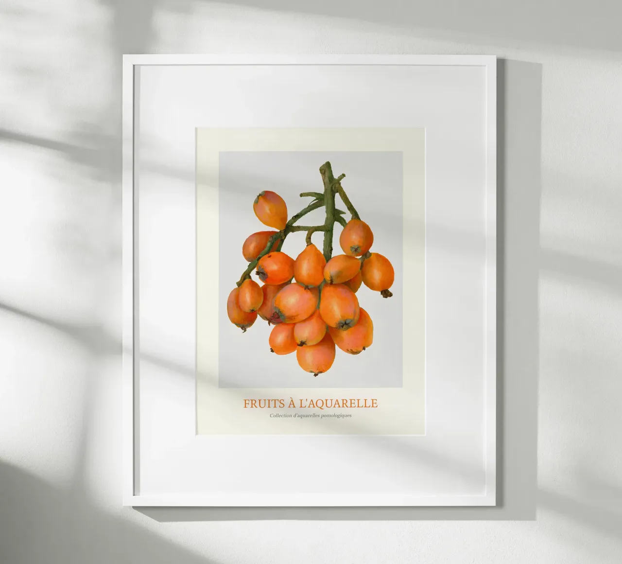 Aquarelle Fruits - Stampa botanica a grappolo di nespole poster con telaio in legno da ClubArt