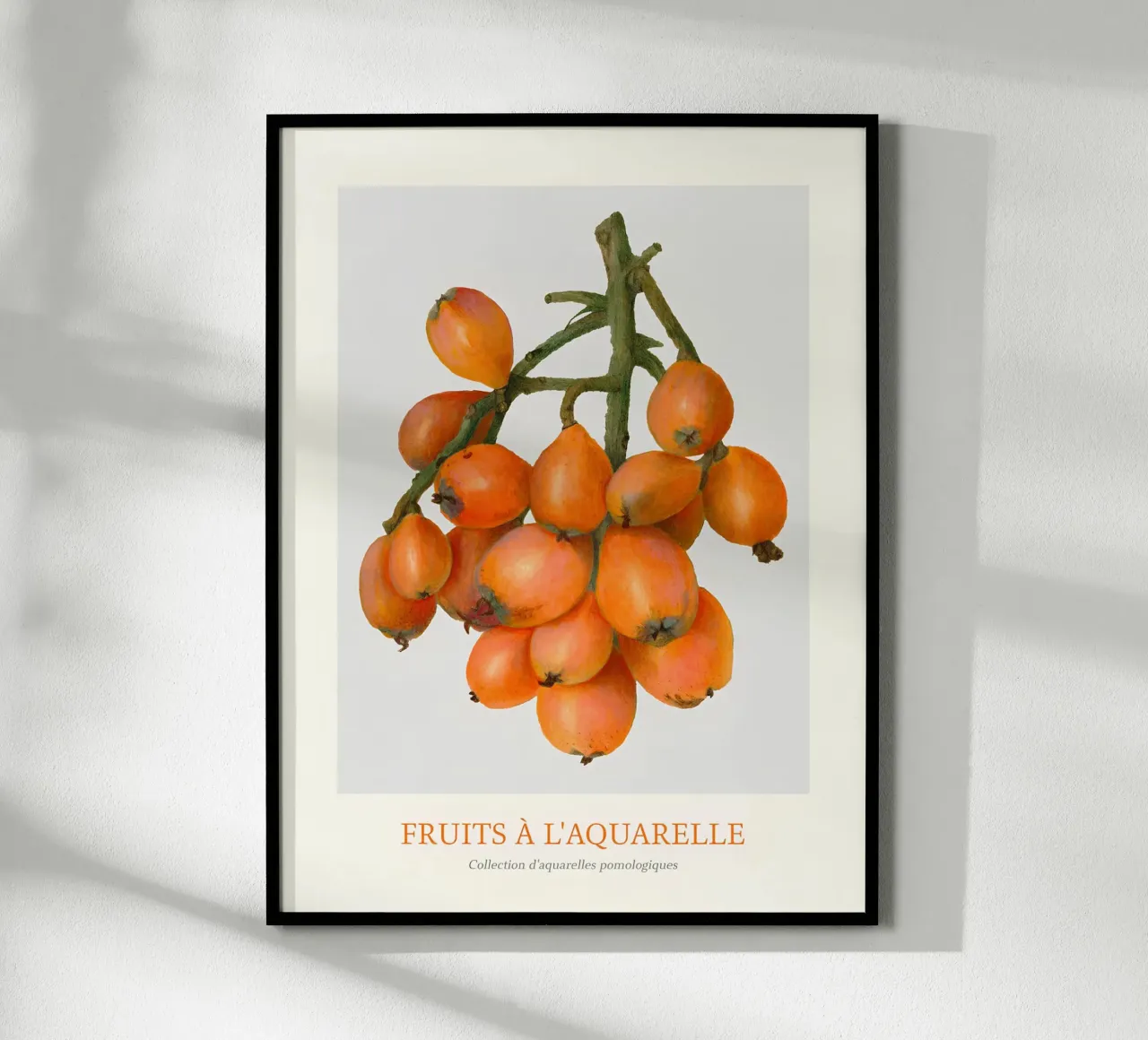 Aquarelle Fruits - Stampa botanica a grappolo di nespole poster con telaio in legno da ClubArt