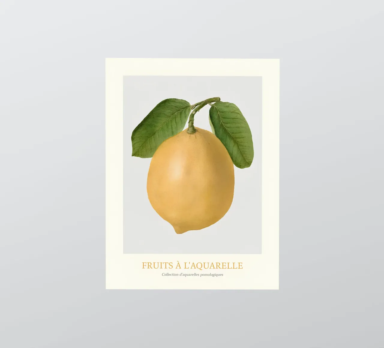 Aquarelle Früchte - Gelbe Zitrone Botanischer Kunstdruck Sticker von ClubArt