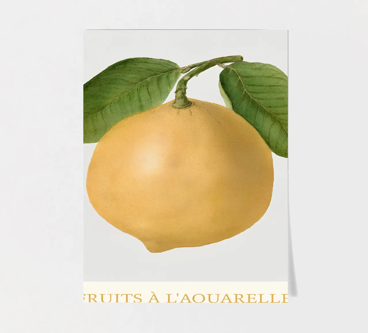 Aquarelle Früchte - Gelbe Zitrone Botanischer Kunstdruck Stickerbogen von ClubArt