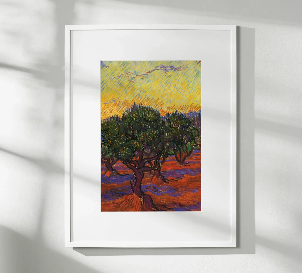 ulivo al tramonto poster con telaio in alluminio da cloud shop