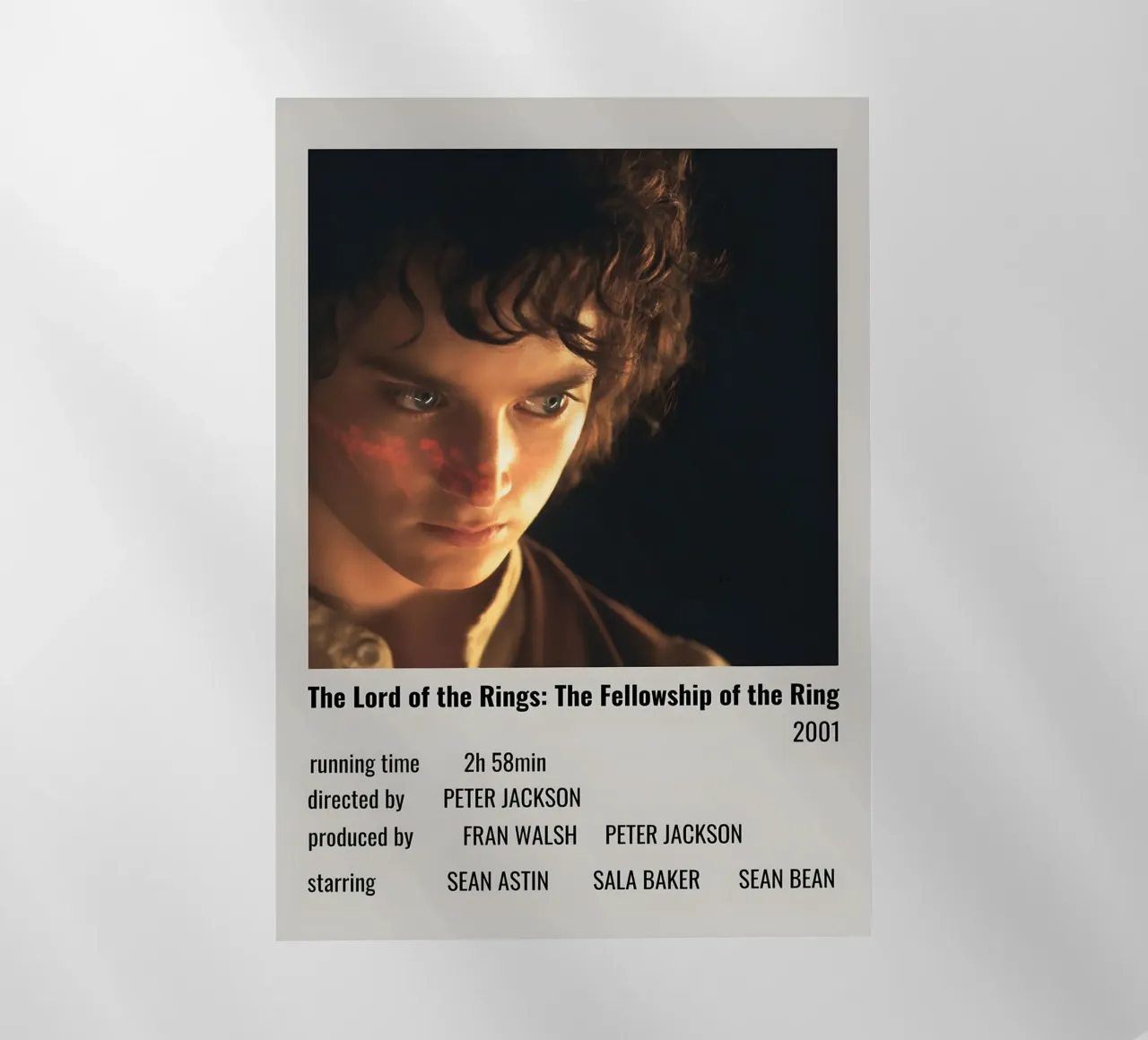 The Lord of the Rings The Fellowship of the Ring 2001 pellicola backlit da MVFminimalist