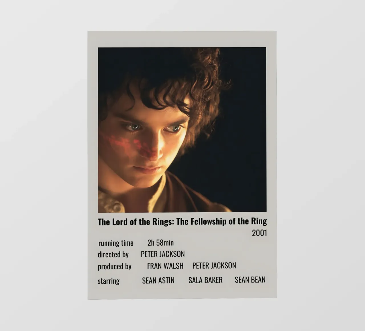 The Lord of the Rings The Fellowship of the Ring 2001 pellicola backlit da MVFminimalist