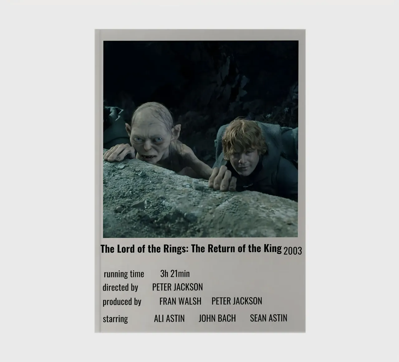 The Lord of the Rings The Return of the King 2003 diario da MVFminimalist
