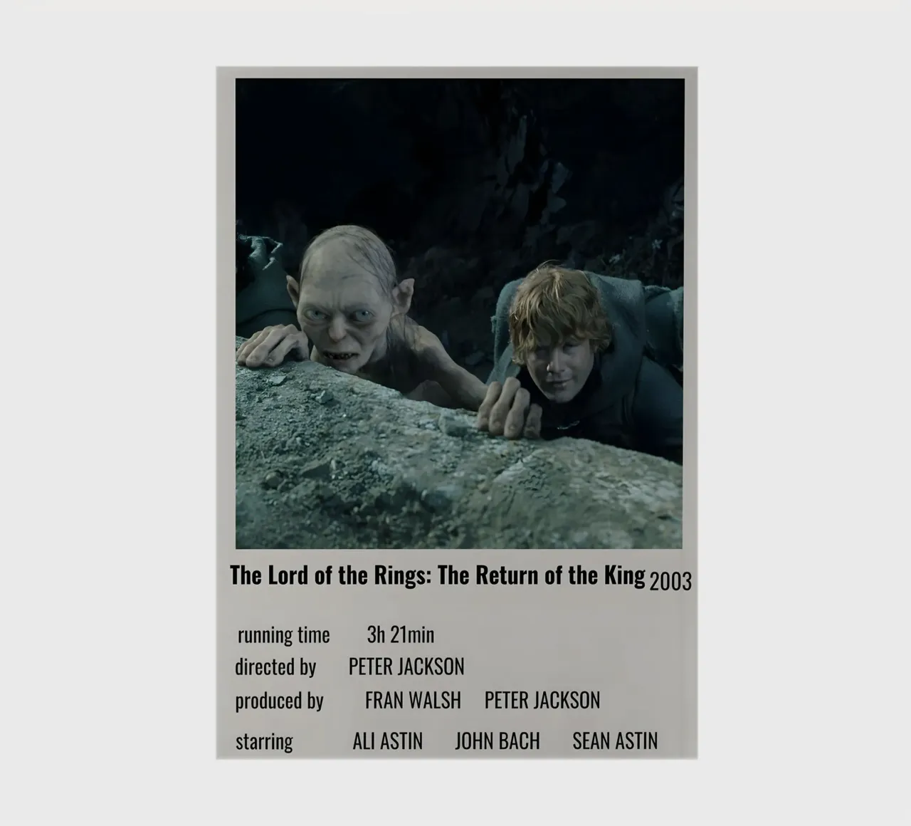 The Lord of the Rings The Return of the King 2003 diario da MVFminimalist