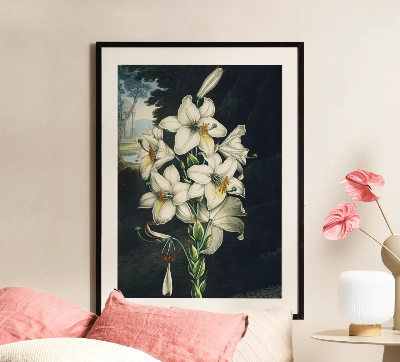 Vintage Thornton 2 White Lily poster con telaio in plastica da Vintage Print Collection