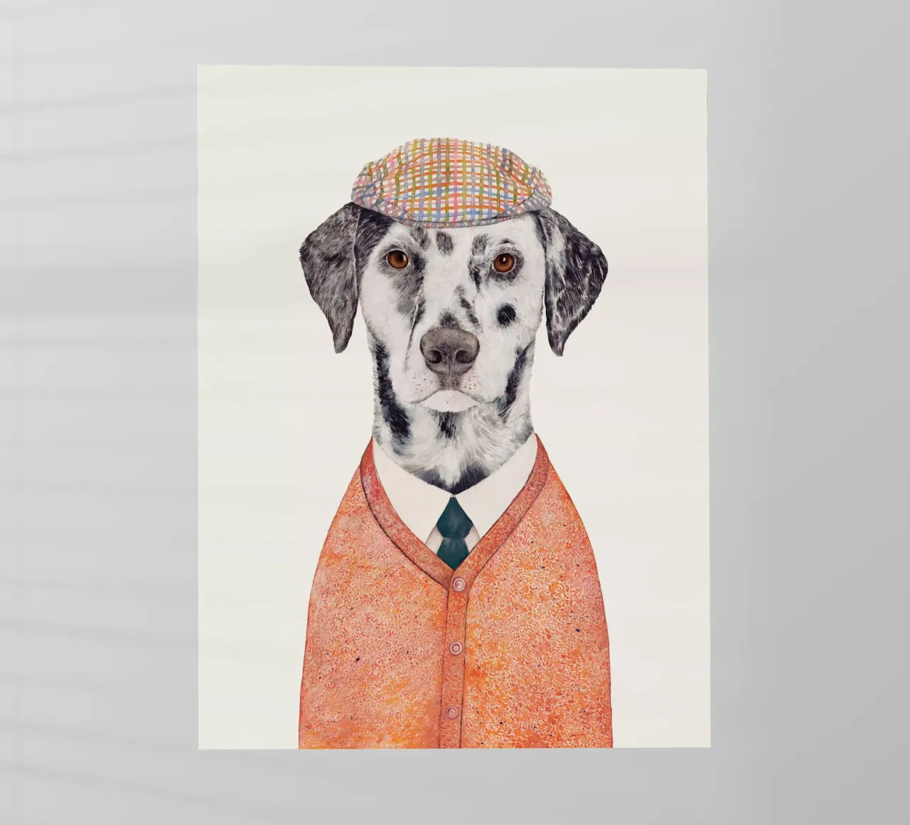 Dalmata pellicola backlit da Animal Crew