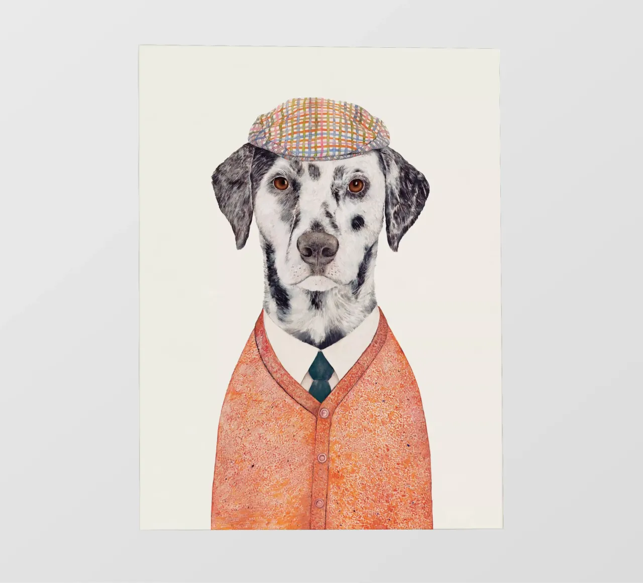 Dalmata pellicola backlit da Animal Crew