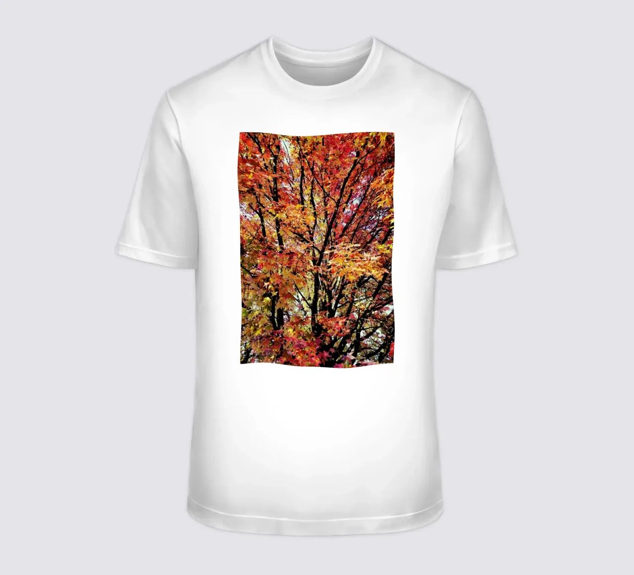 Flaming t-shirt da Angelo Cerantola