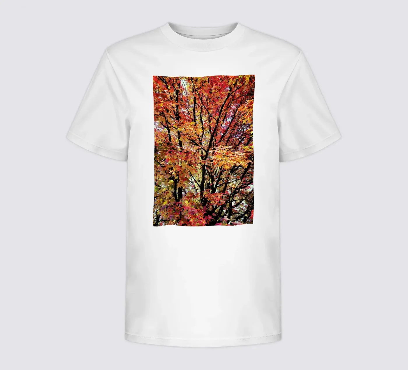 Flaming t-shirt bambini da Angelo Cerantola