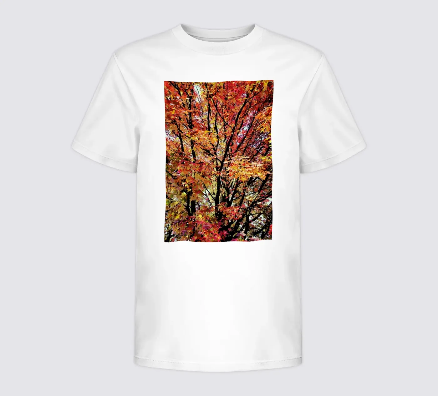 Flaming t-shirt bambini da Angelo Cerantola