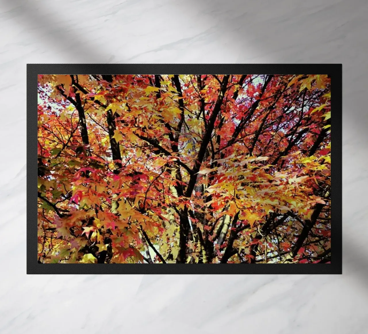 Flaming zerbino da Angelo Cerantola