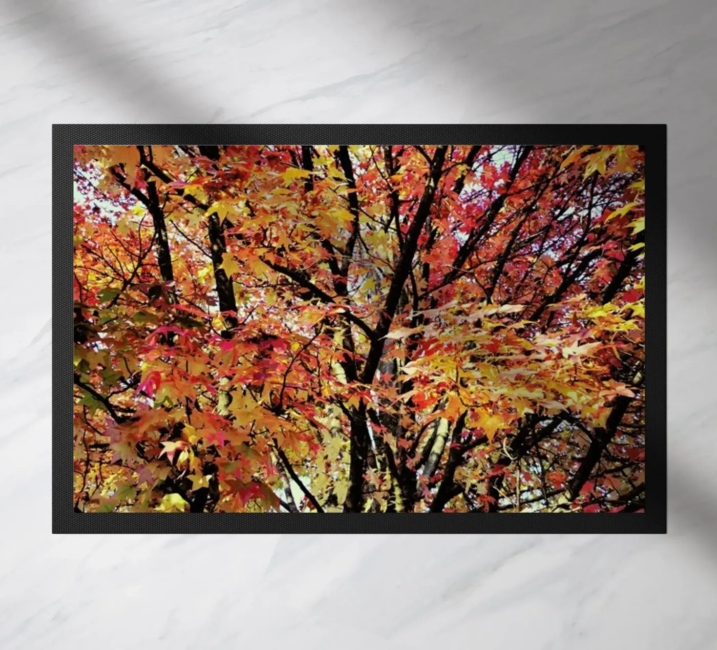 Flaming zerbino da Angelo Cerantola