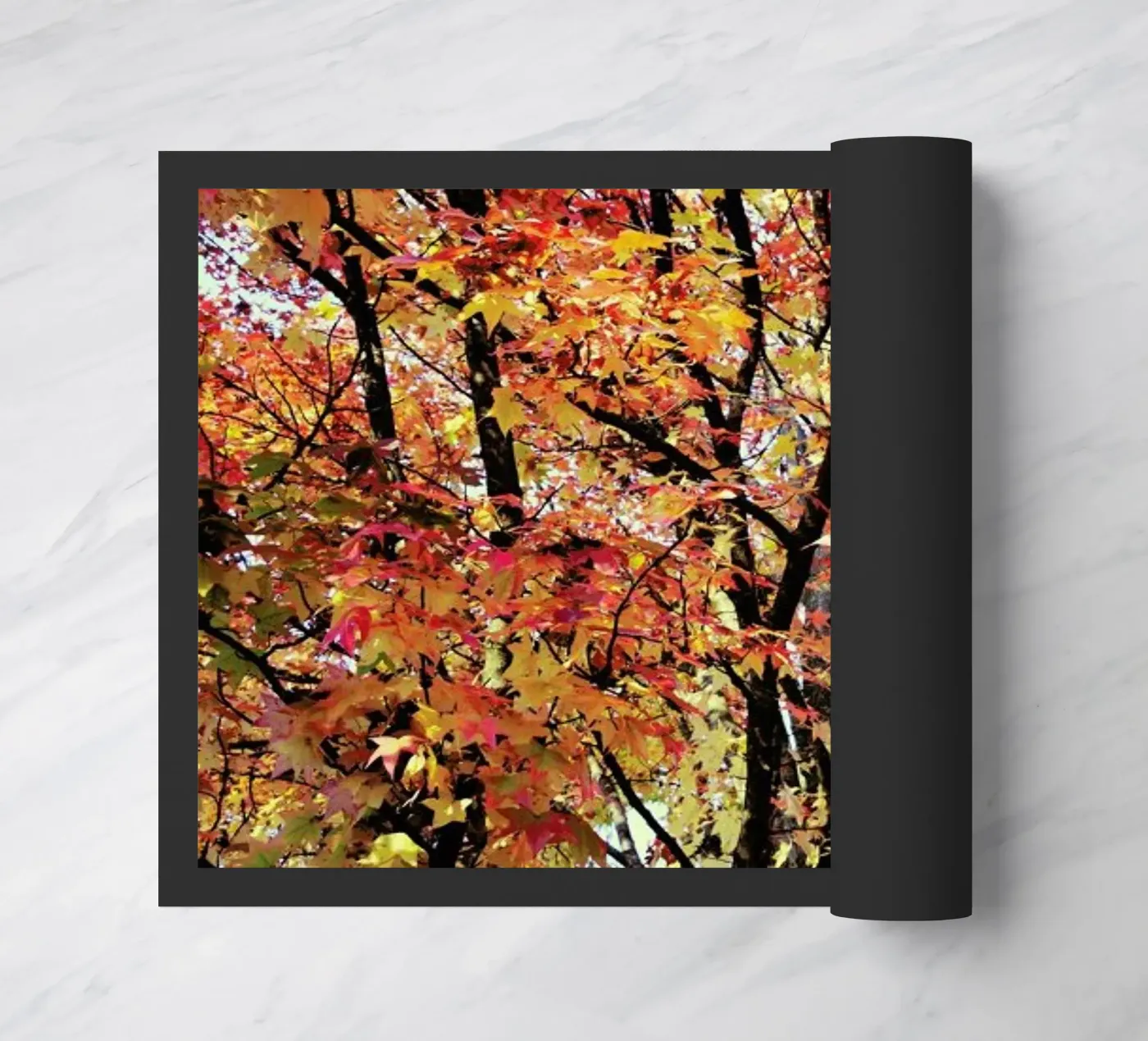 Flaming zerbino da Angelo Cerantola