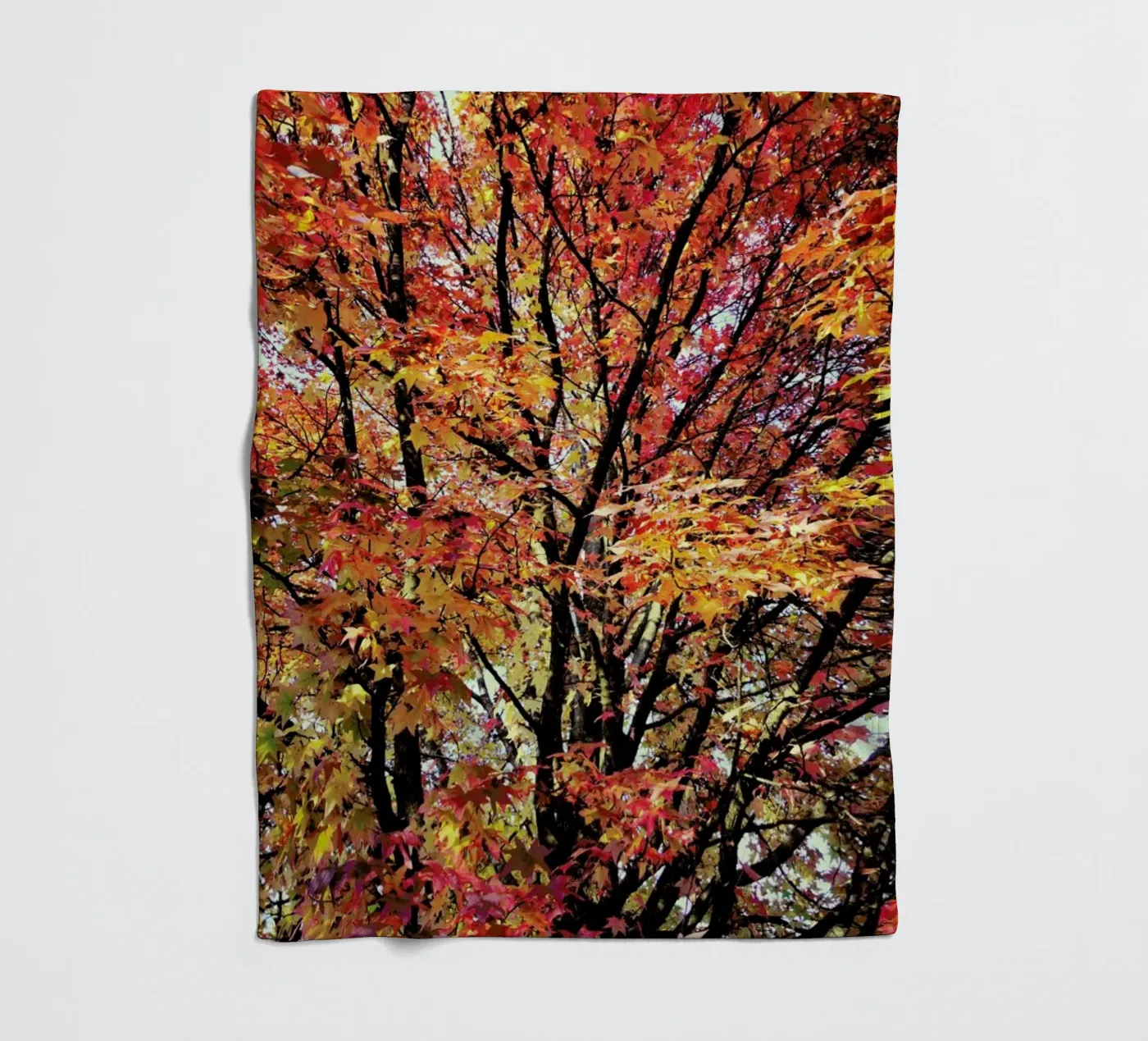 Flaming Fleecedecke von Angelo Cerantola