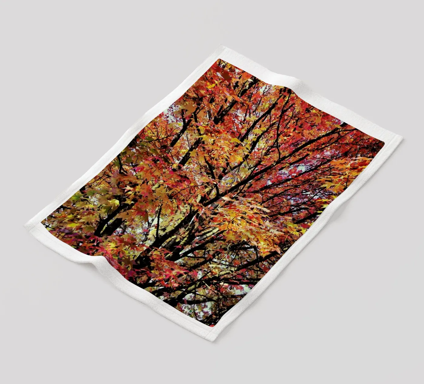 Flaming Fleecedecke von Angelo Cerantola