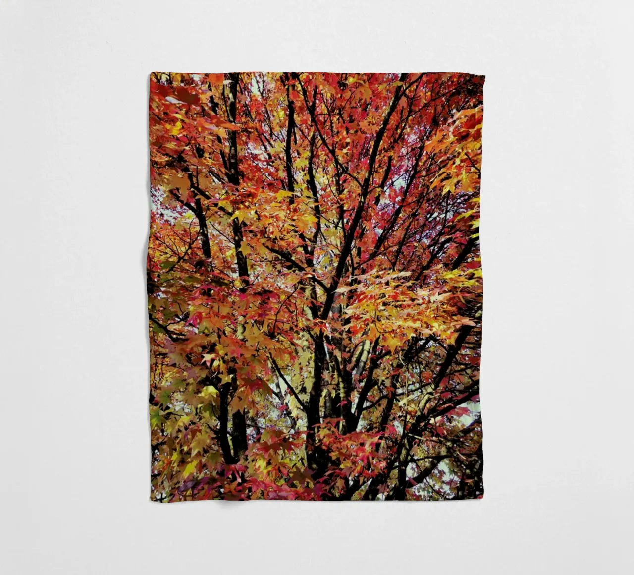 Flaming fleecedeken van Angelo Cerantola