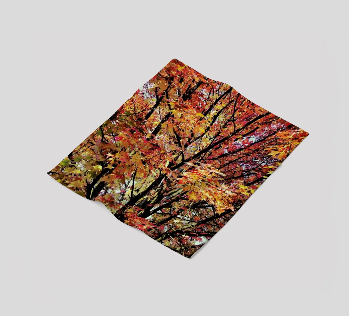 Flaming Fleecedecke von Angelo Cerantola