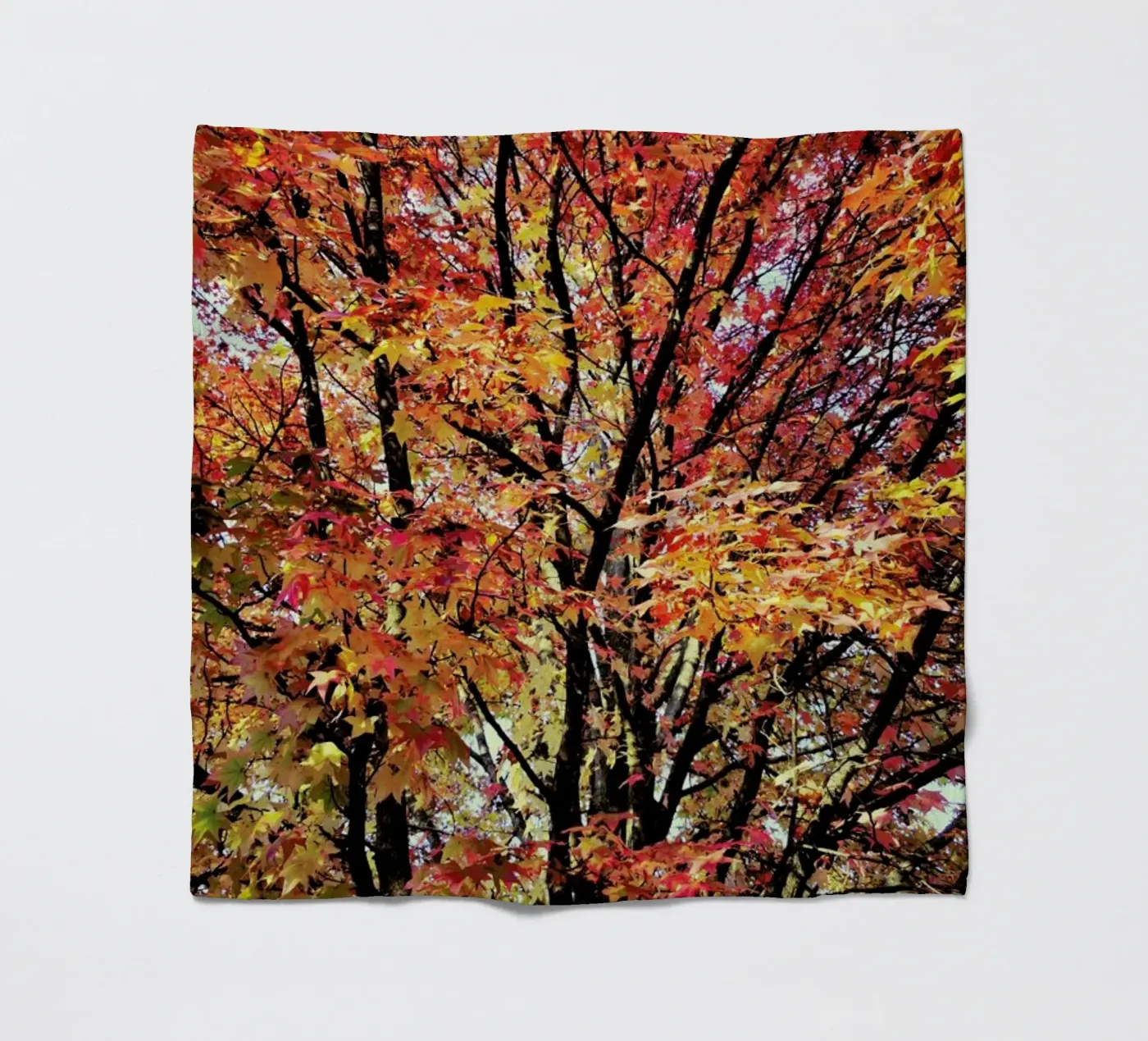 Flaming Fleecedecke von Angelo Cerantola