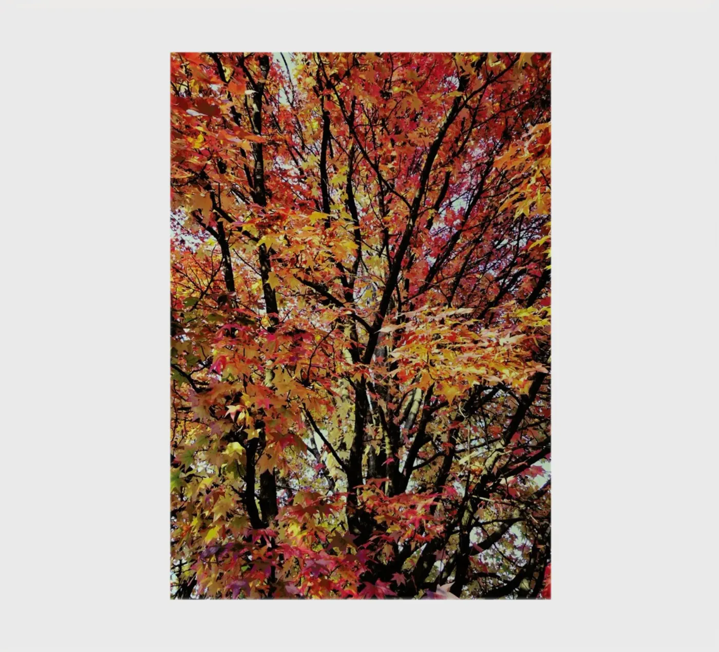 Flaming notebook by Angelo Cerantola