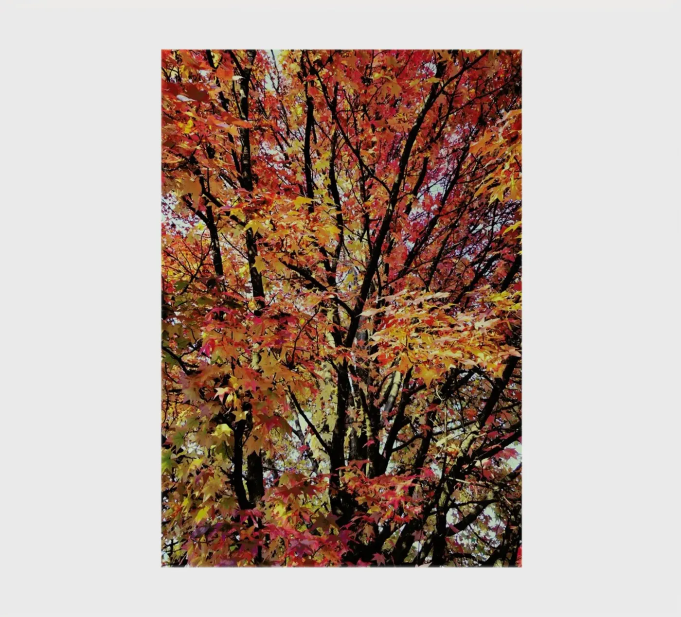 Flaming notebook by Angelo Cerantola