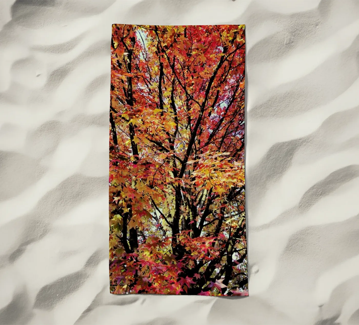 Flaming telo mare da Angelo Cerantola