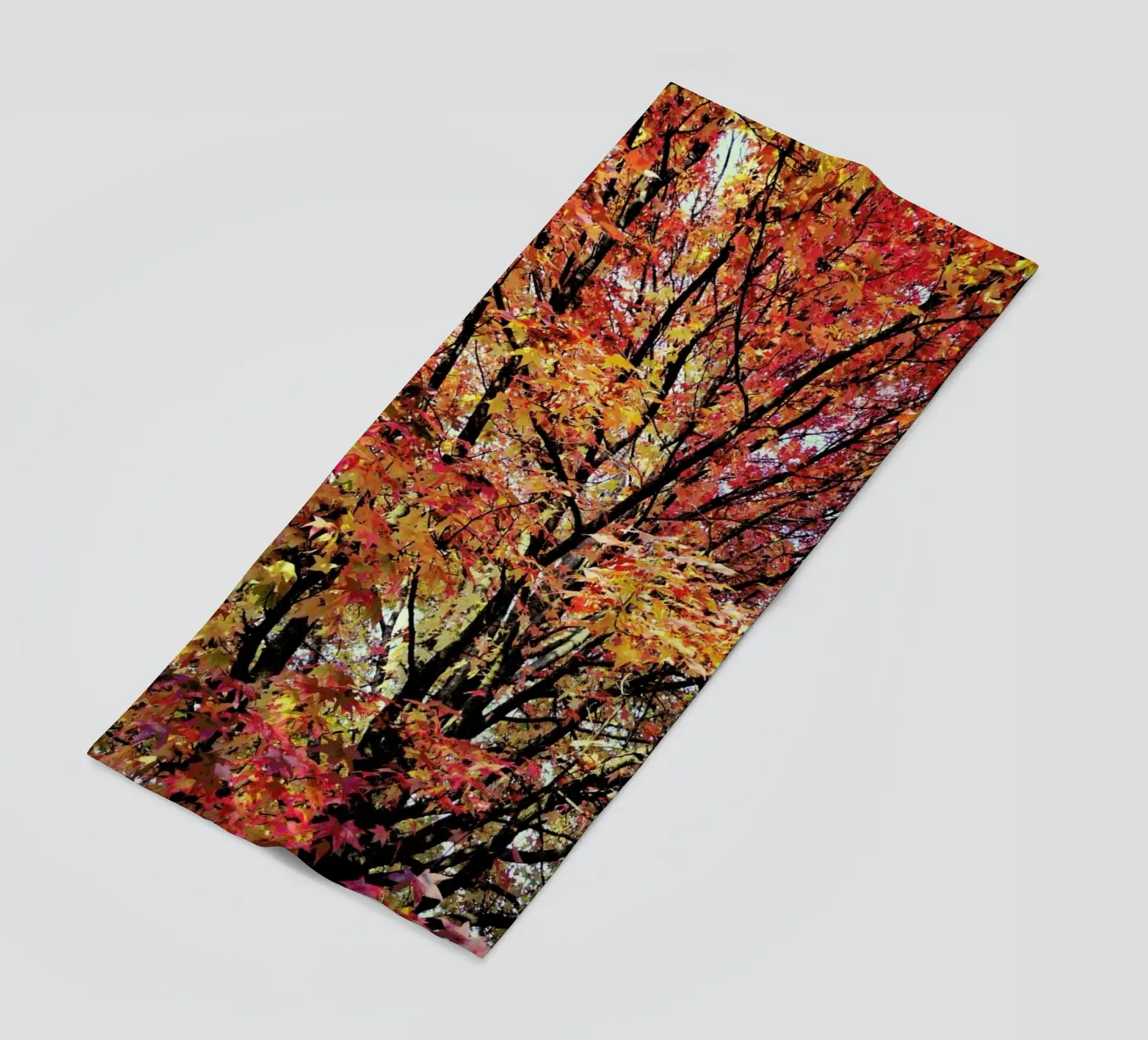 Flaming telo mare da Angelo Cerantola