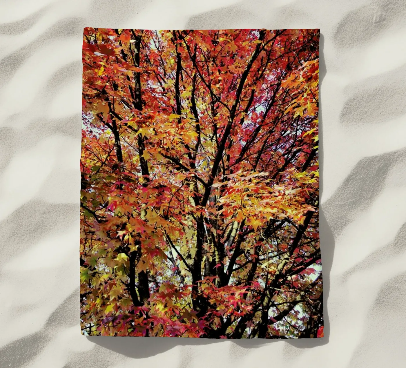 Flaming telo mare da Angelo Cerantola