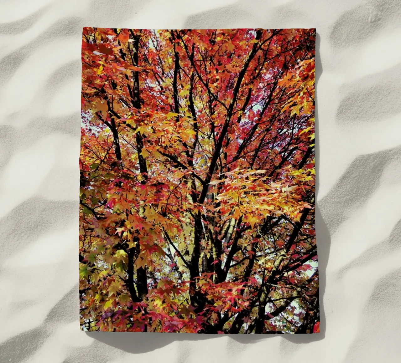 Flaming telo mare da Angelo Cerantola