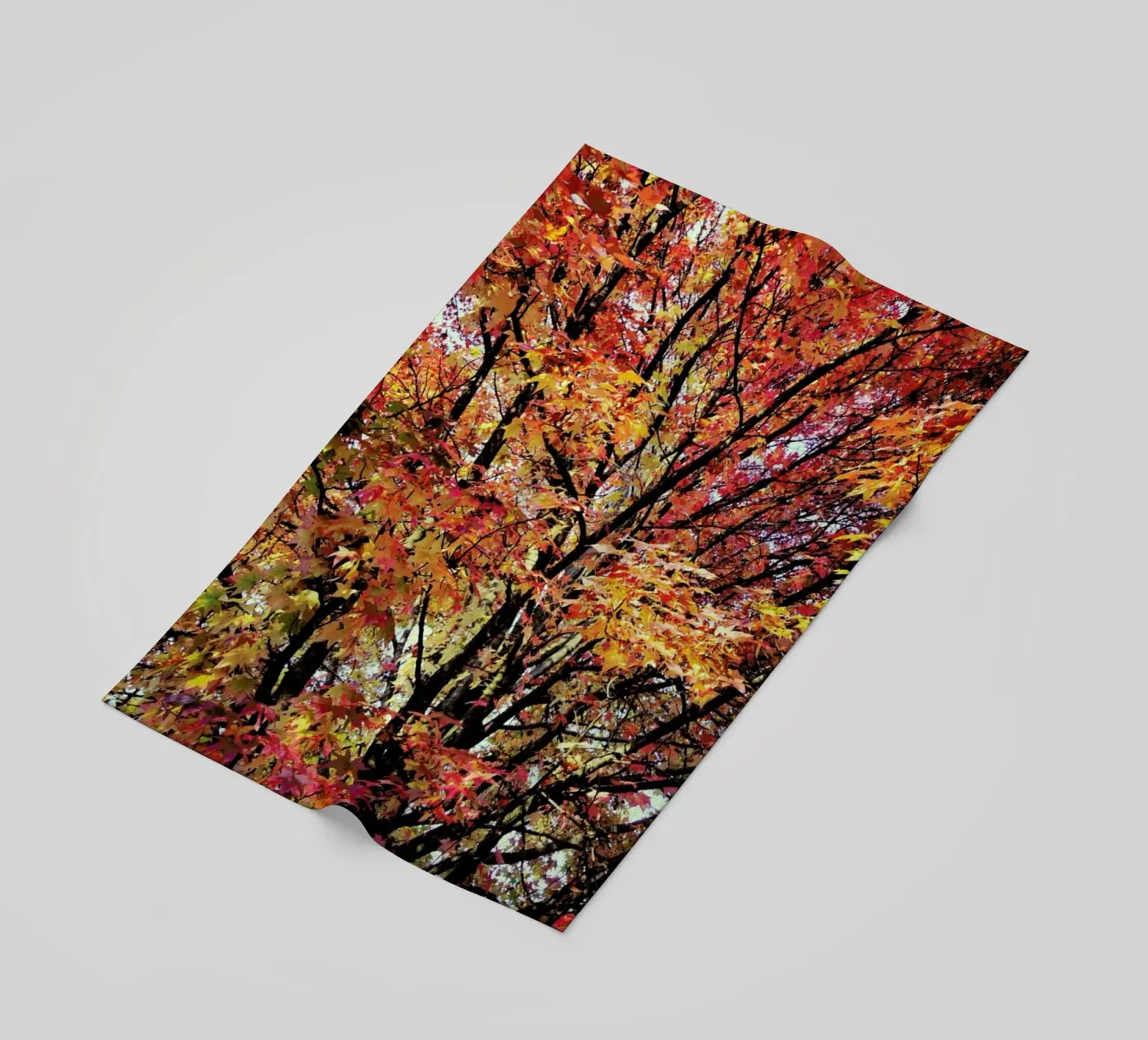 Flaming telo mare da Angelo Cerantola