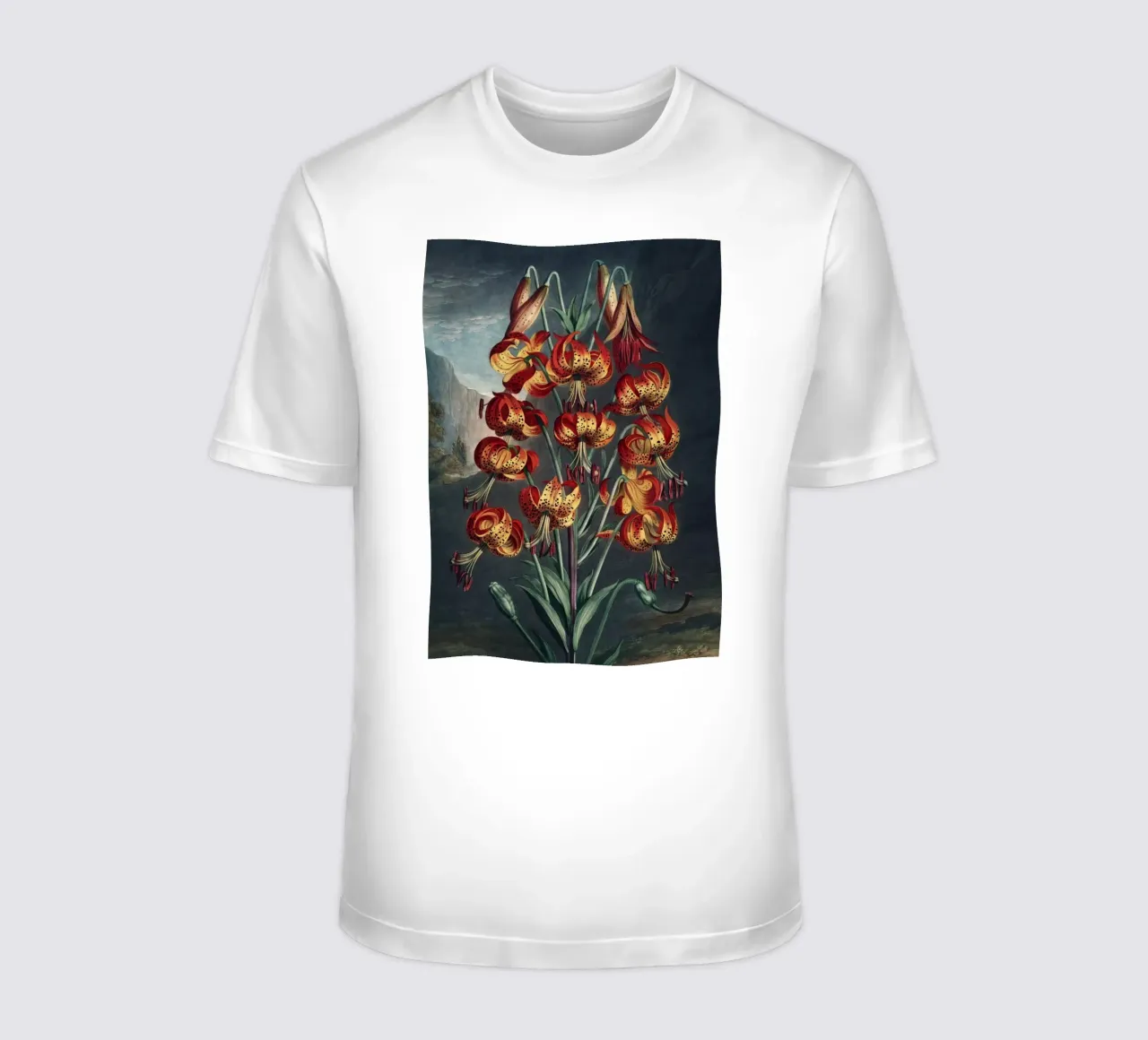 Vintage Thornton 3 Superb Lily t-shirt da Vintage Print Collection