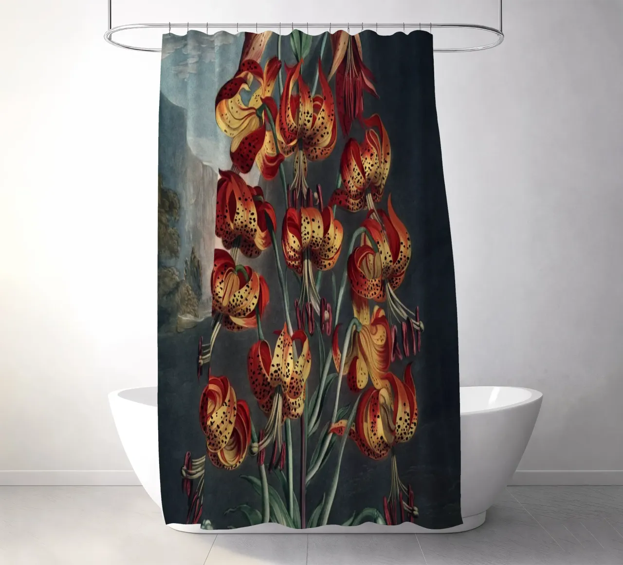 Vintage Thornton 3 Superb Lily tenda da doccia da Vintage Print Collection