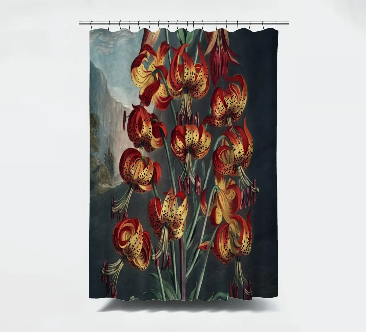 Vintage Thornton 3 Superb Lily tenda da doccia da Vintage Print Collection
