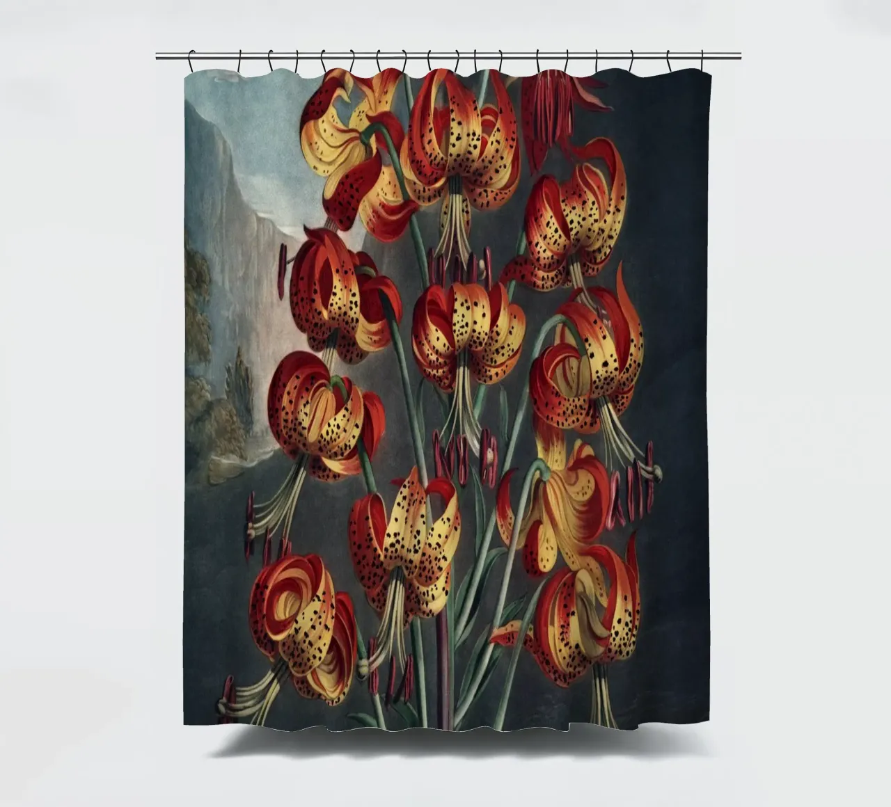 Vintage Thornton 3 Superb Lily tenda da doccia da Vintage Print Collection