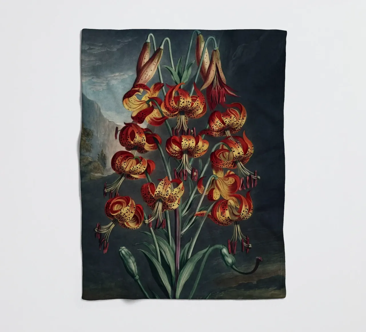 Vintage Thornton 3 Superb Lily coperta in pile da Vintage Print Collection