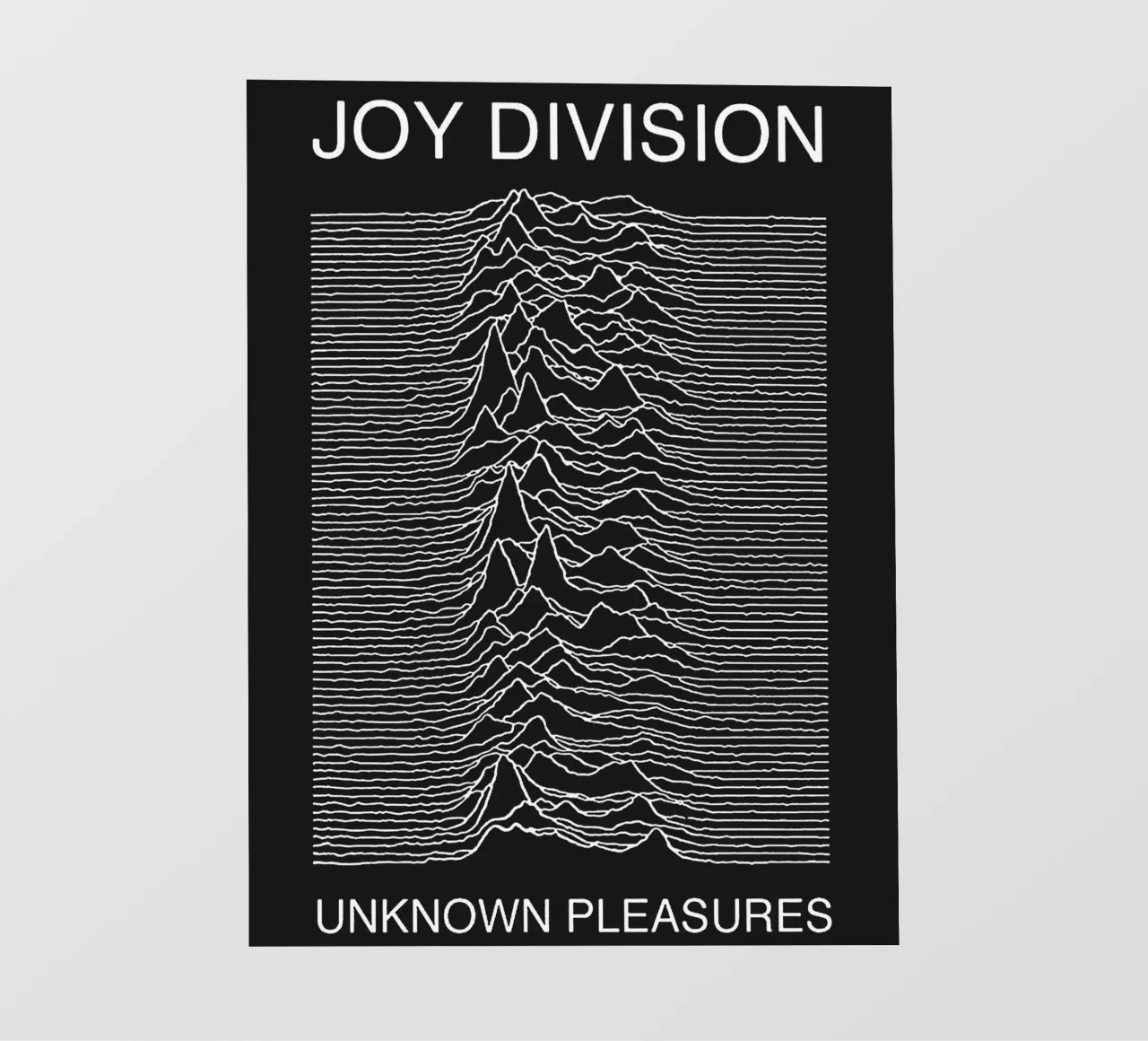Joy Division telo in pvc da vanhesling