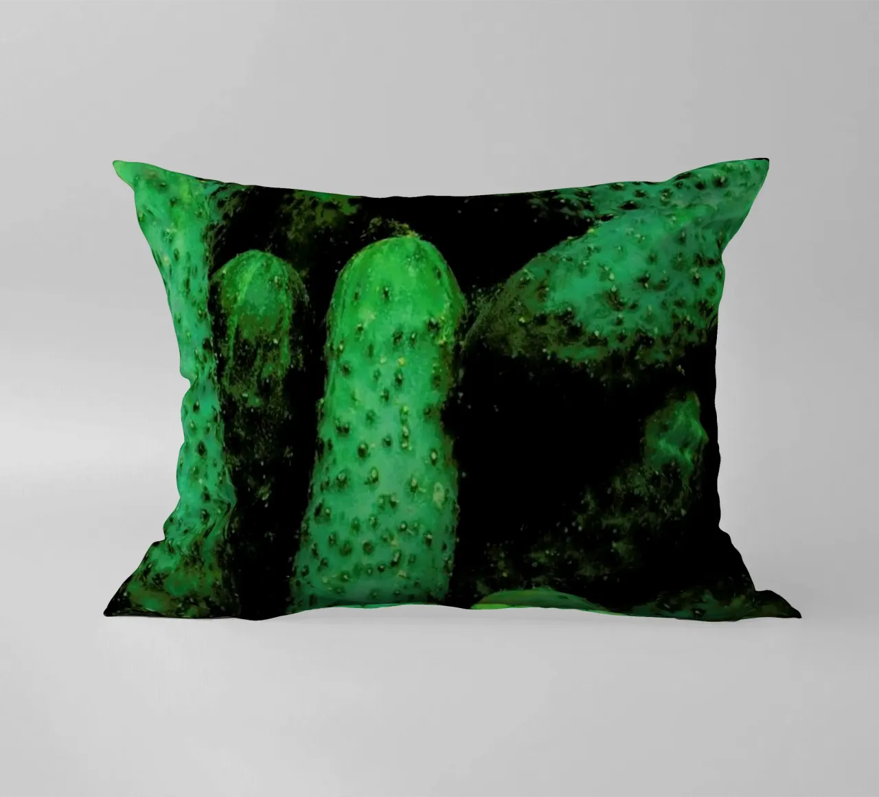 Pickles cuscino da Sebastian Hilgetag