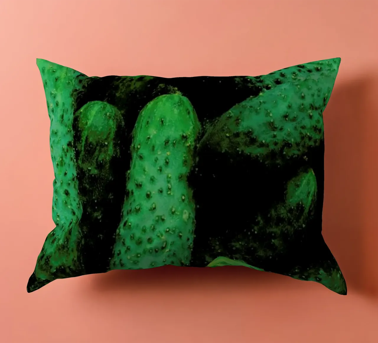 Pickles cuscino da Sebastian Hilgetag