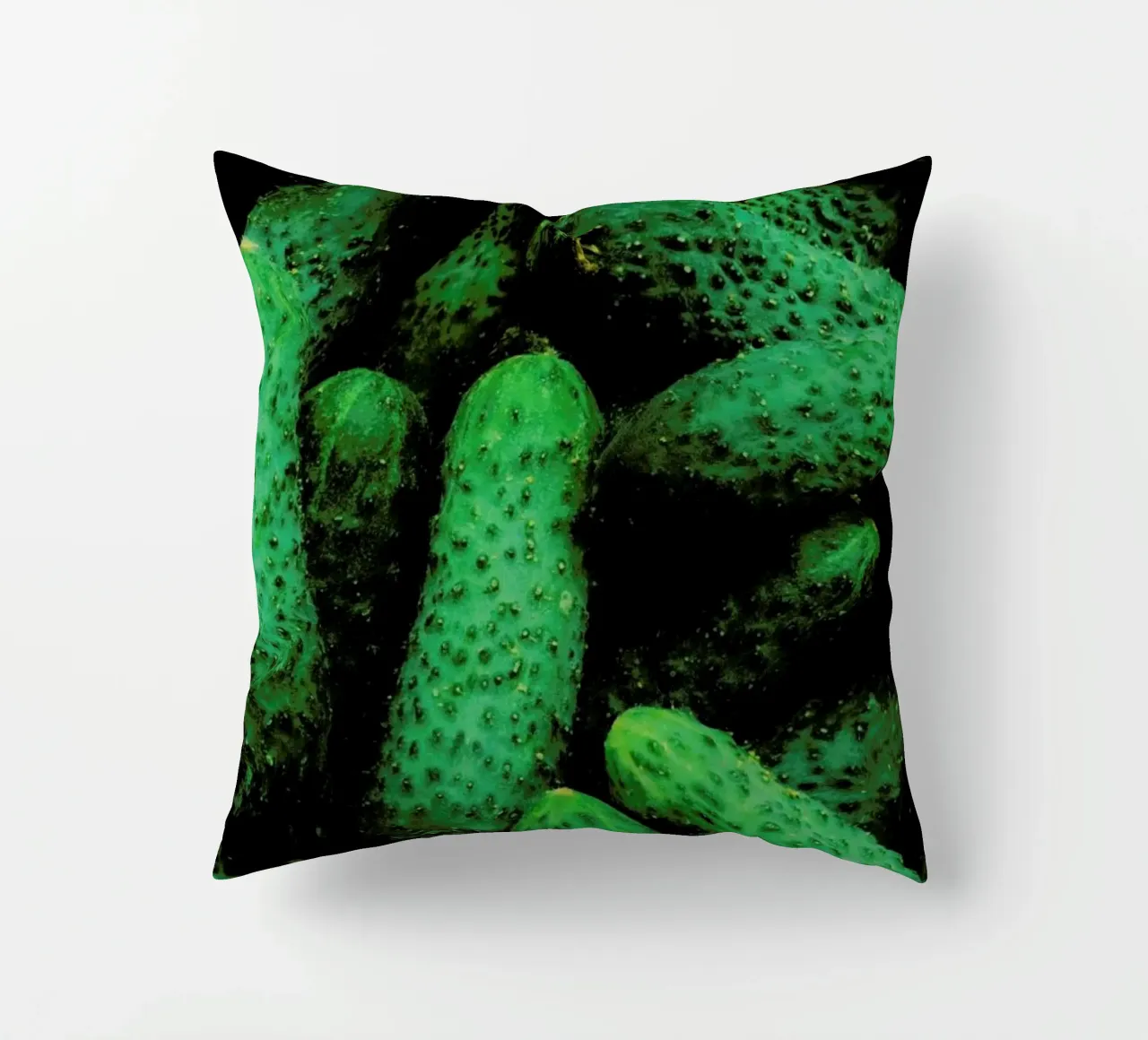 Pickles cuscino da Sebastian Hilgetag