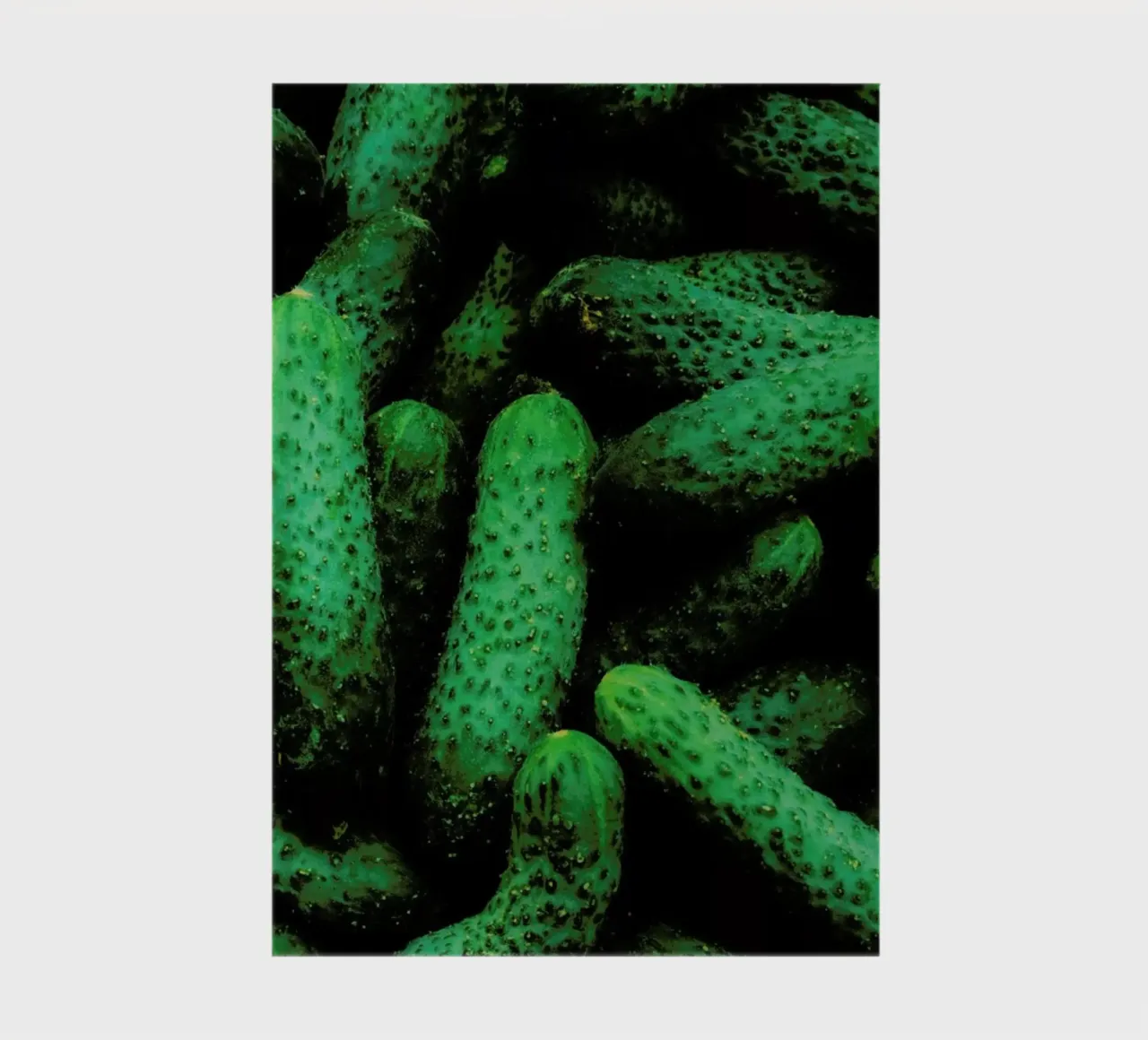Pickles notebook by Sebastian Hilgetag