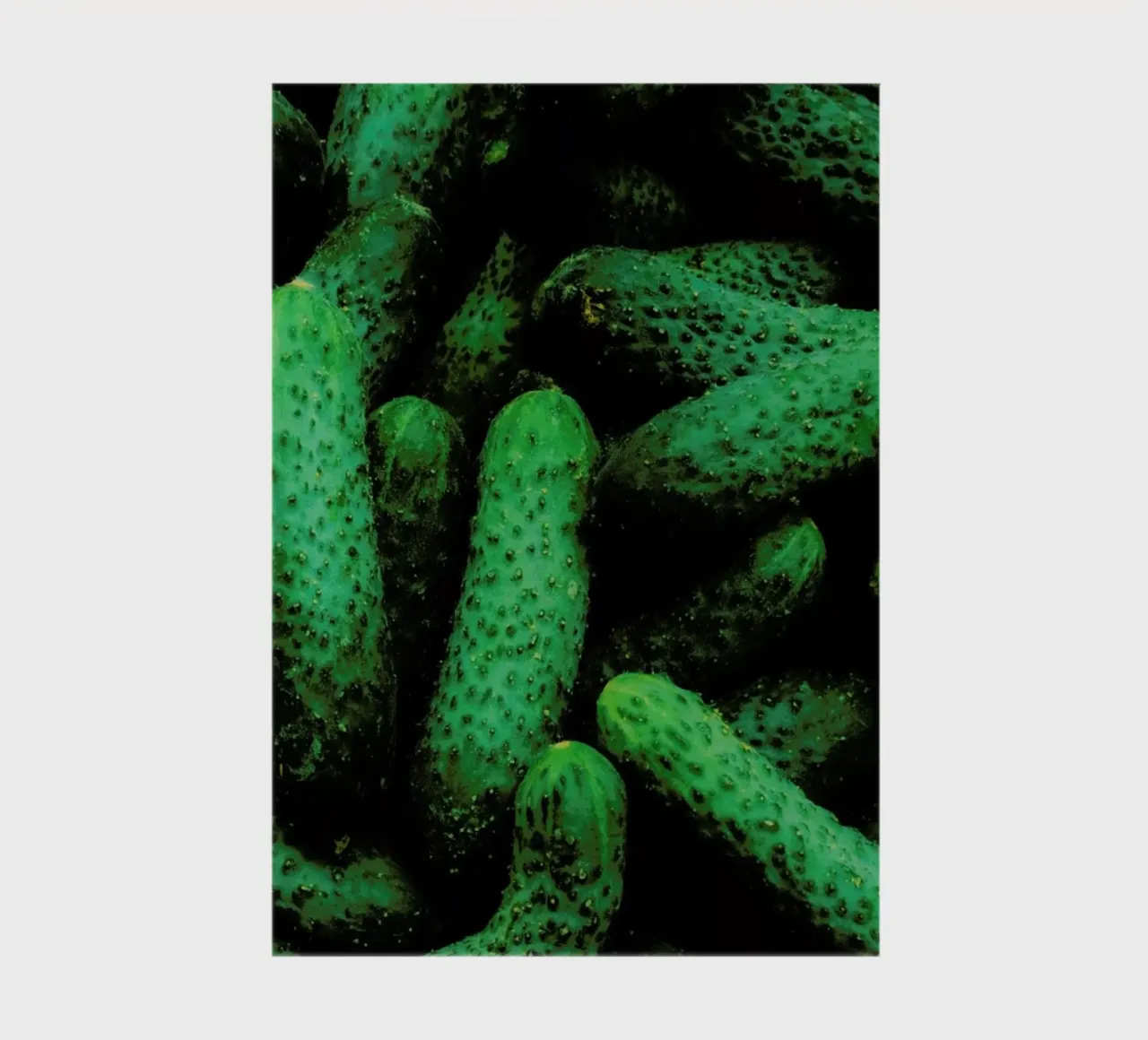 Pickles notebook by Sebastian Hilgetag